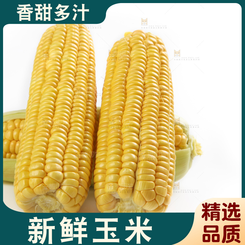 白底上放着黄玉米