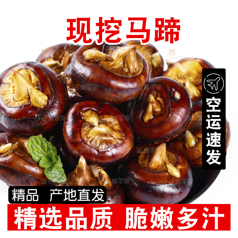 白底上的菩荠
