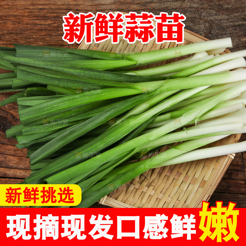 盘子里装着红根蒜苗