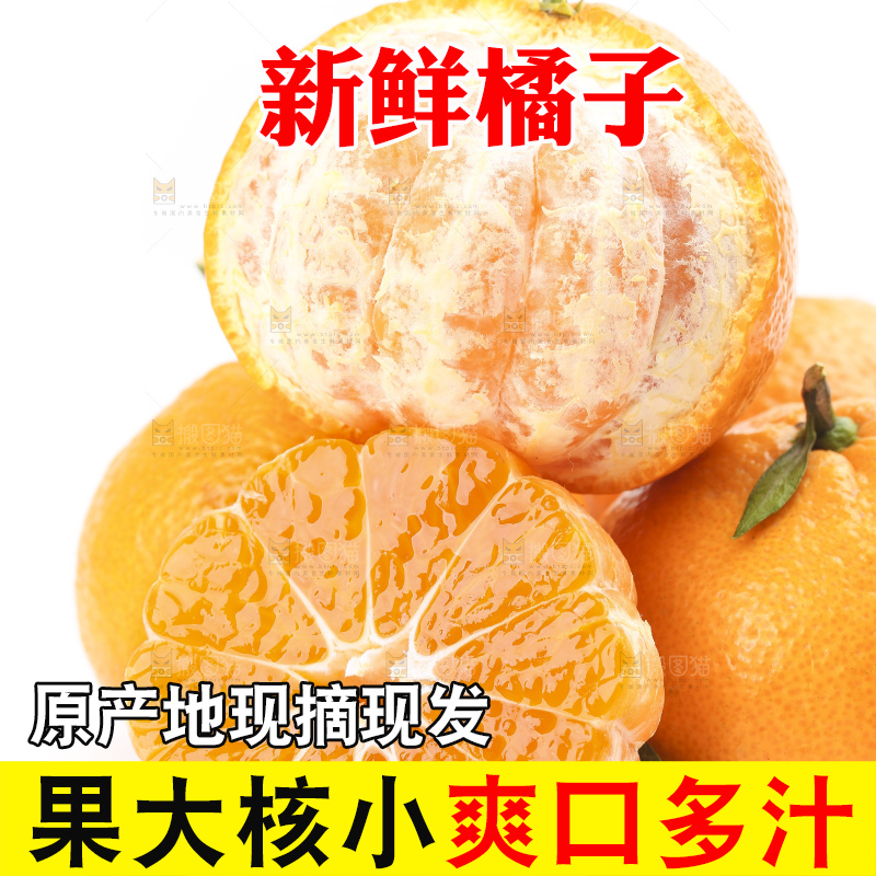 白底上的椪柑橘