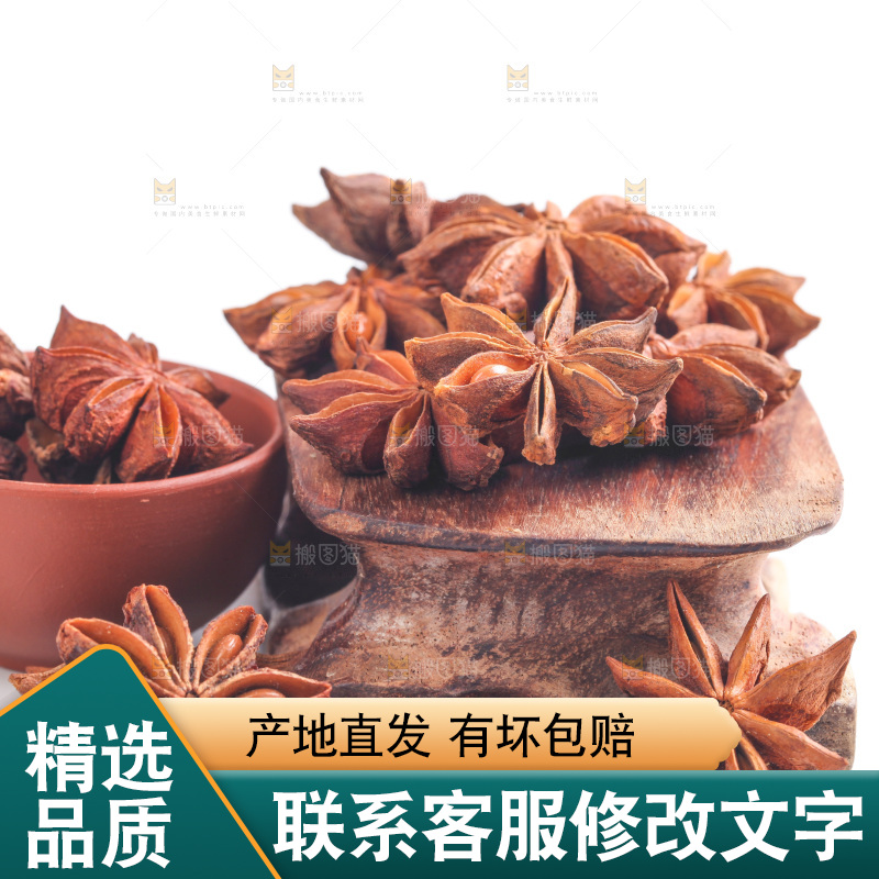 广西八角放在白底上
