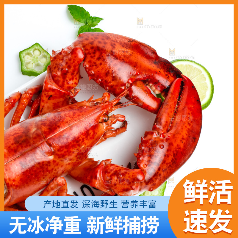 白底上放着一盘大龙虾