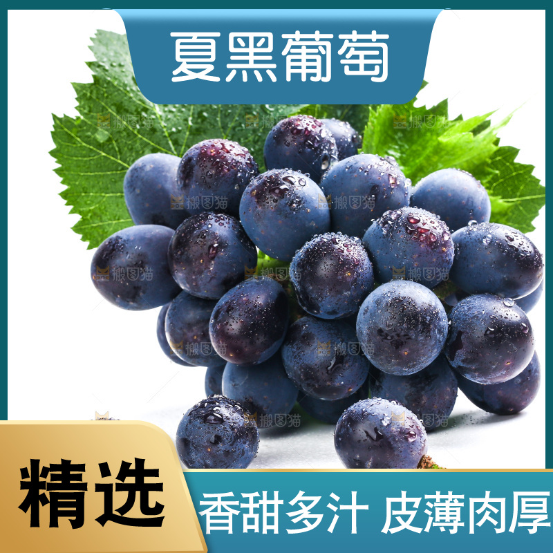 白底上的夏黑