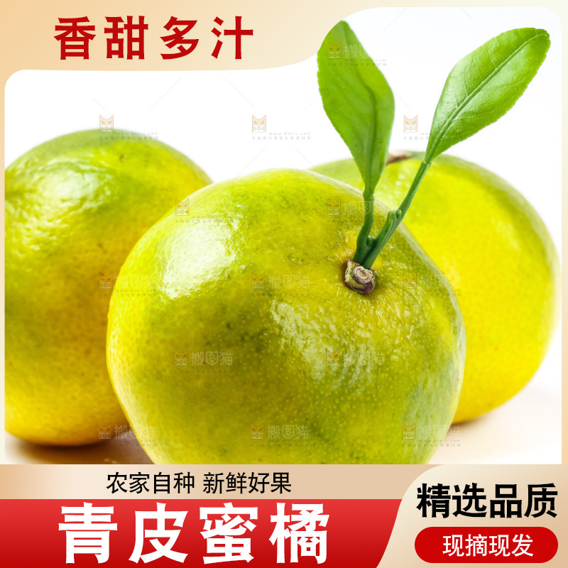 白底上的青皮蜜橘