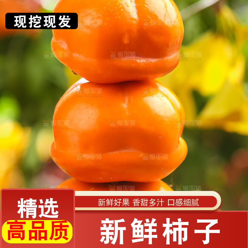 木板上放着易县磨盘柿