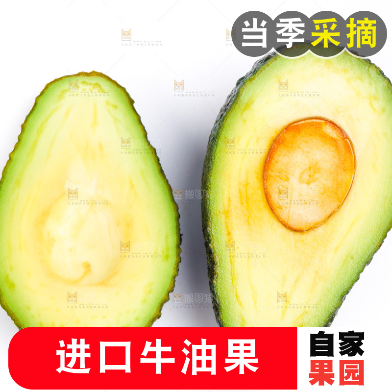 白底上放着切开的巨无霸牛油果
