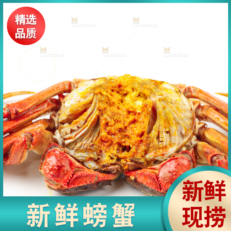 浅底上摆放着熟螃蟹