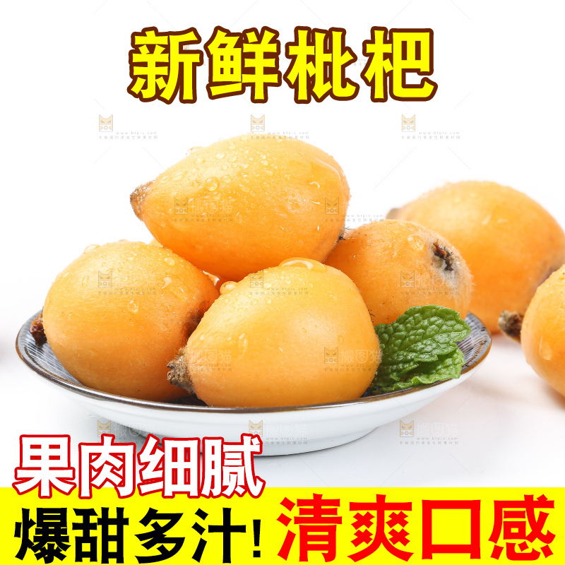 白底上的枇杷