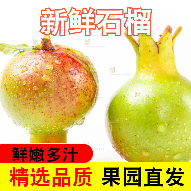 白底上的新鲜石榴