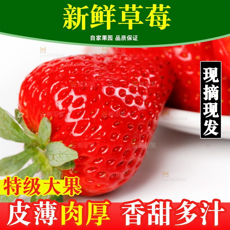 白底上的红颜草莓