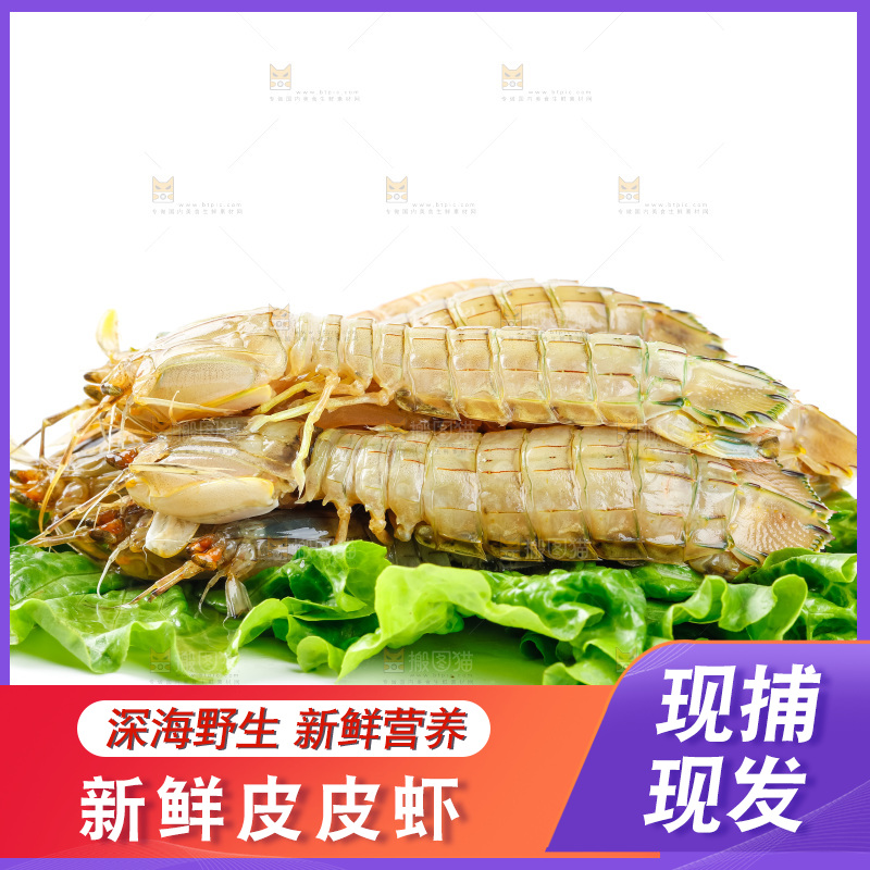 白底上的濑尿虾