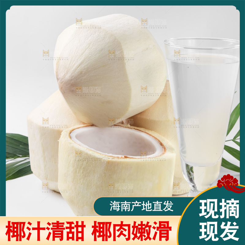白底上放着椰青