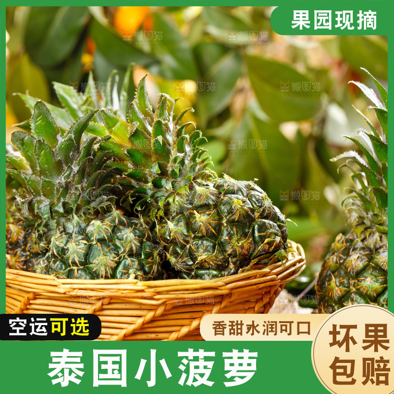 篮子里的新鲜小菠萝