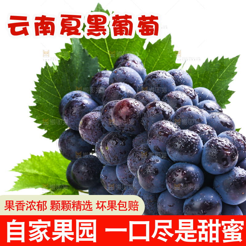 白底上的夏黑