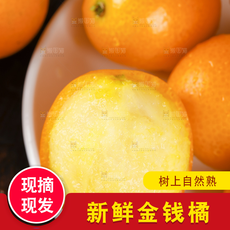 黑底上的小金桔