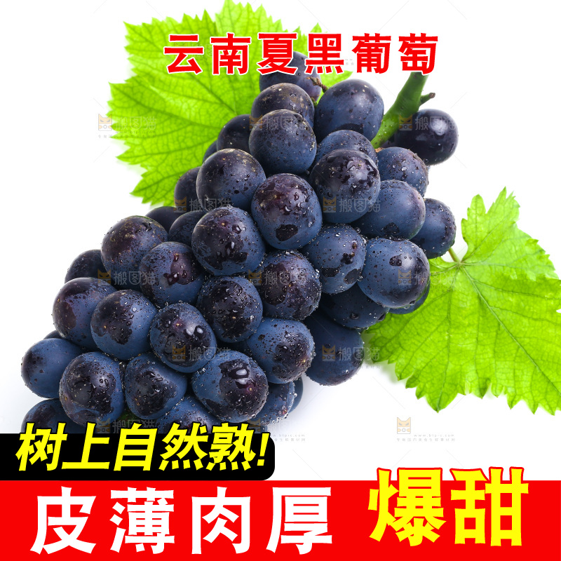 白底上的夏黑葡萄