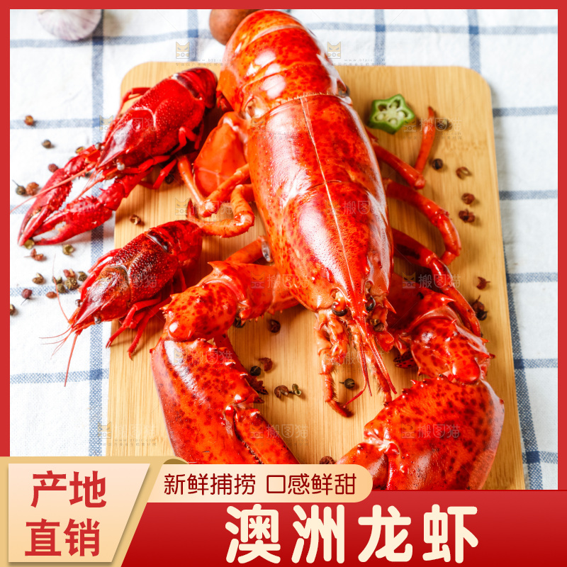 格子布上放着一盘大龙虾