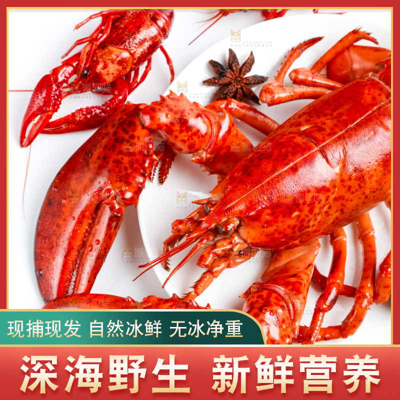 白底上放着大龙虾
