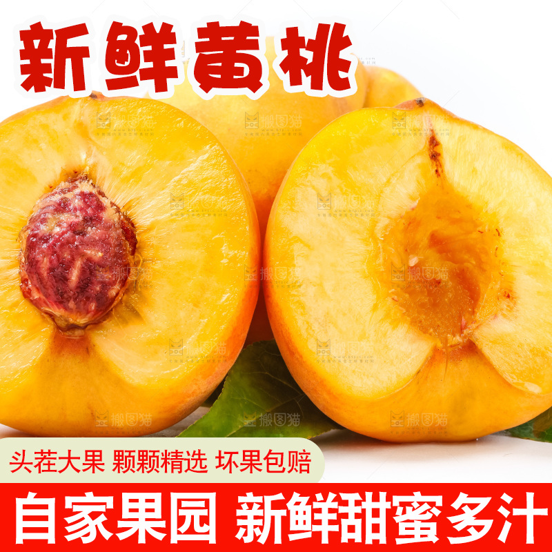 切开的山东黄桃放在白底上