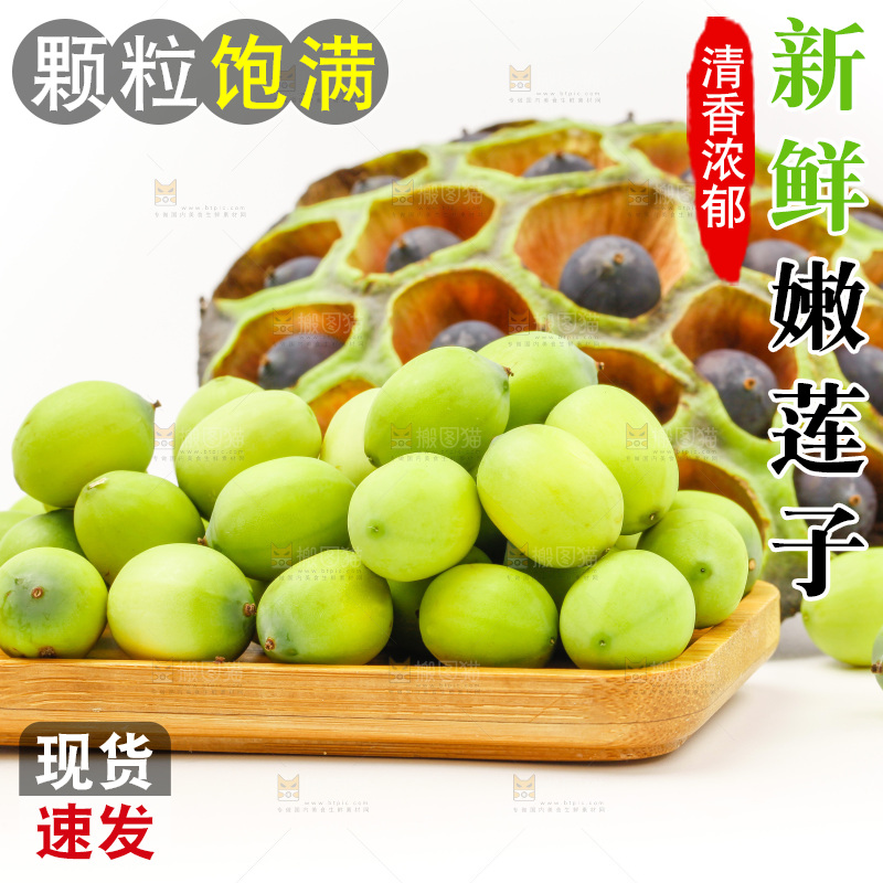 浅底上的新鲜莲子
