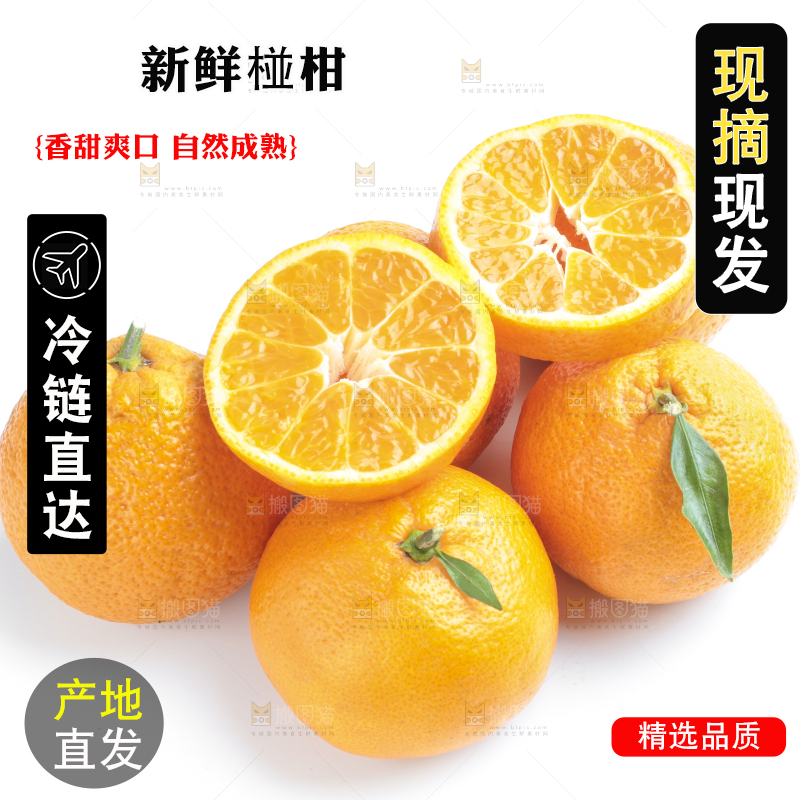 白底上一堆椪柑橘