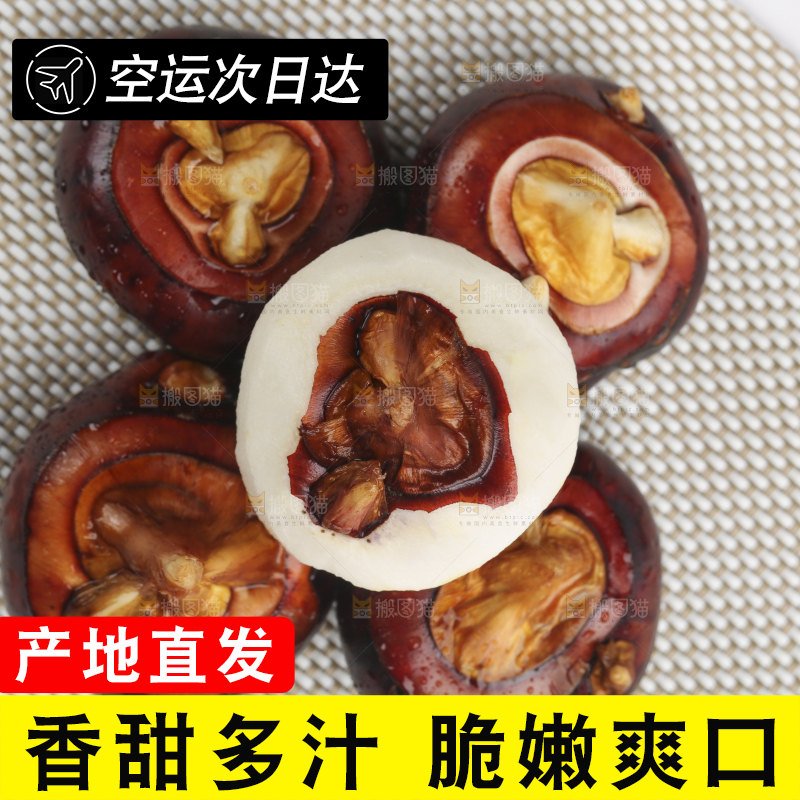 浅底上的马蹄果
