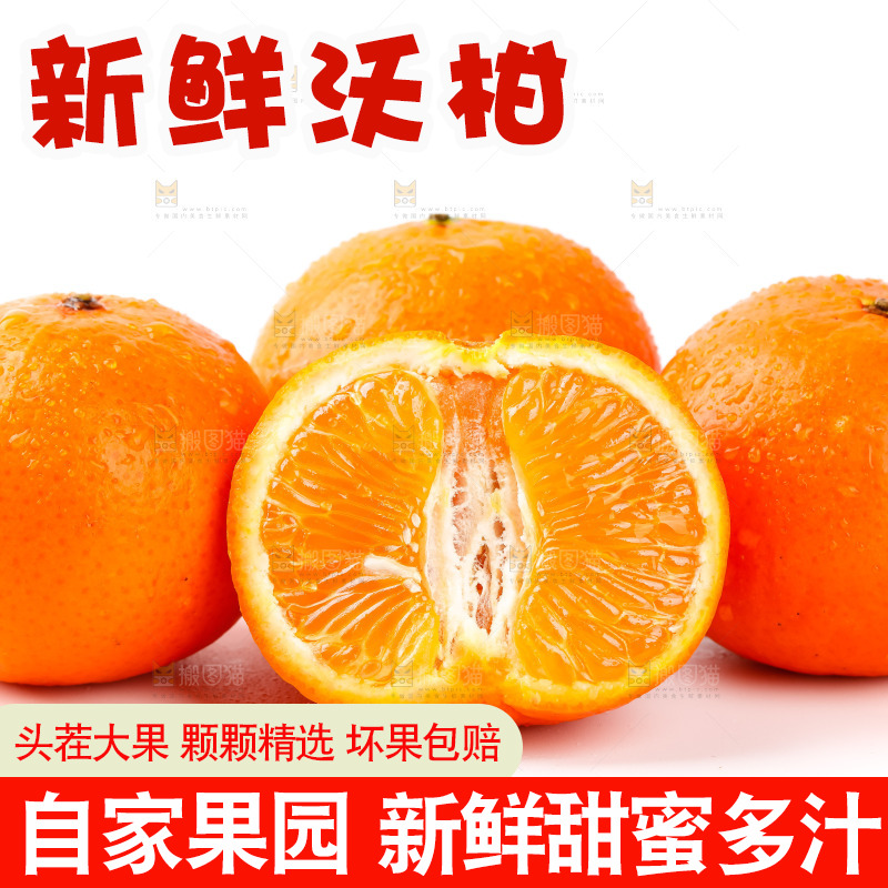 白底上放着广西沃柑