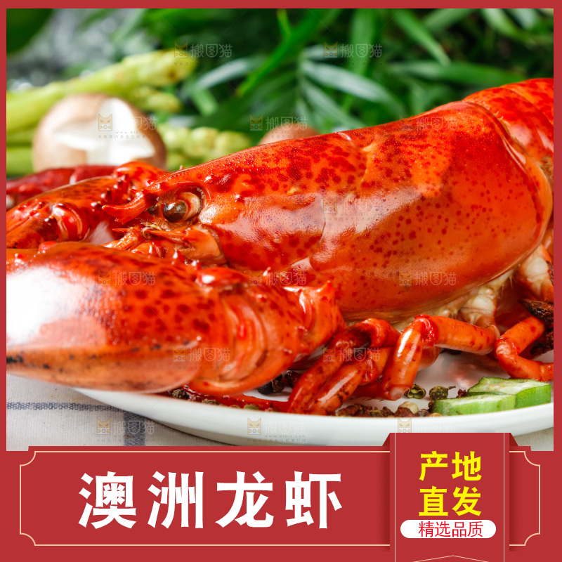 格子布上放着一盘大龙虾