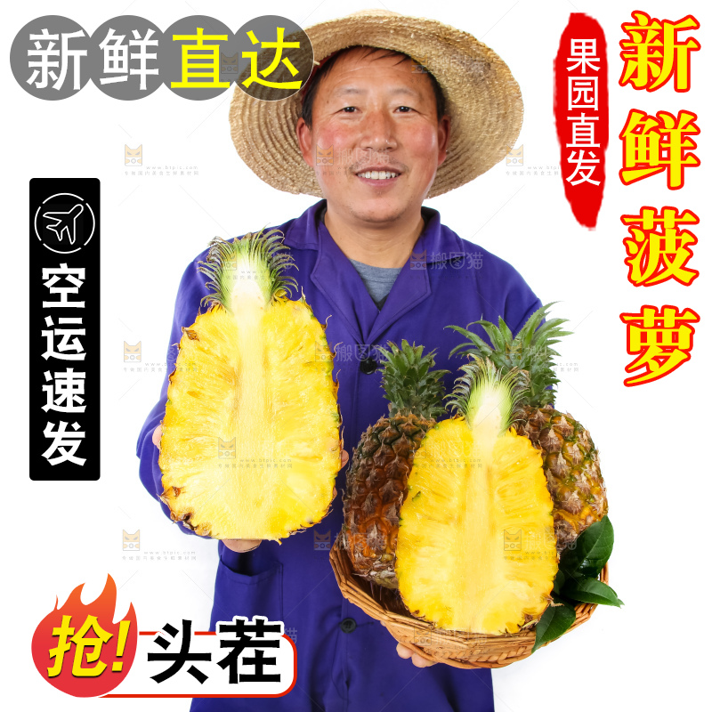 农民手里拿着香水菠萝
