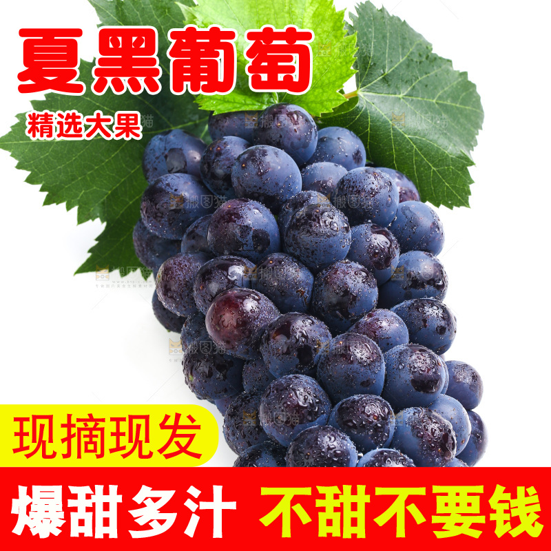 白底上的夏黑