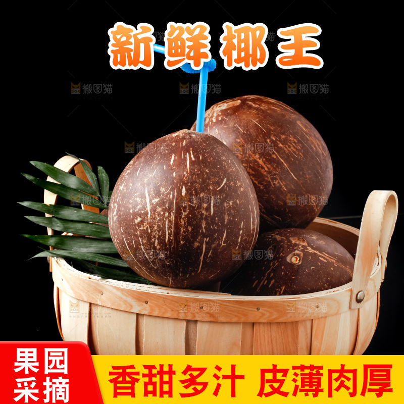黑底上放着海南椰皇