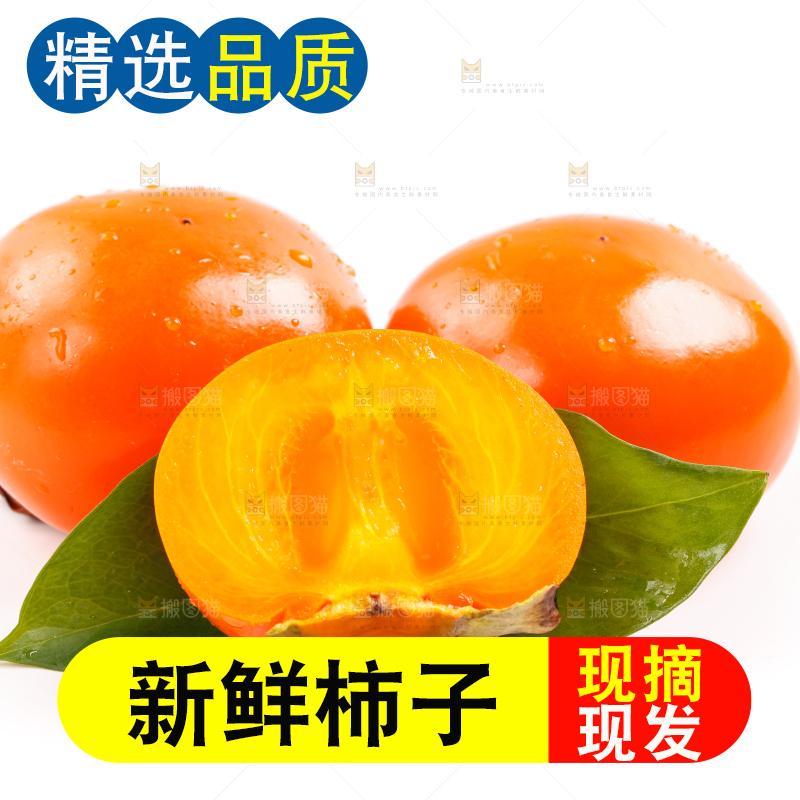 浅底上的大柿子