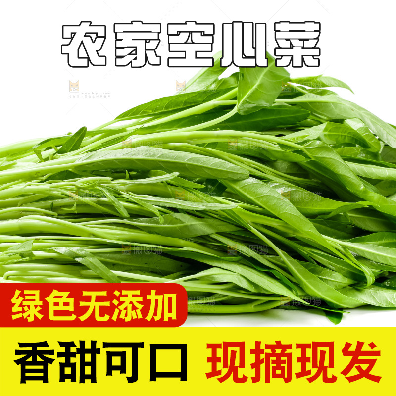 白底上放着新鲜空心菜