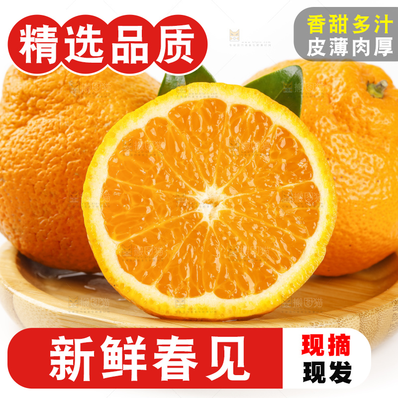 盘子里的春见耙耙柑