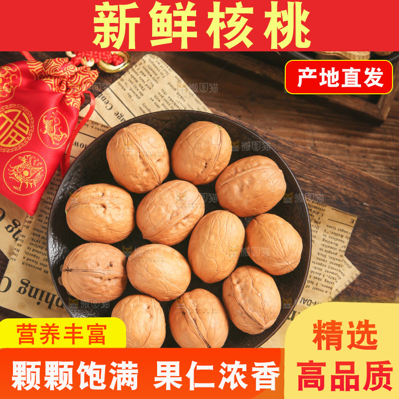 纸皮核桃主图