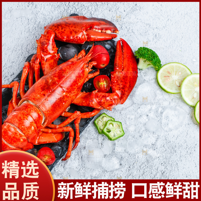 石板上的波士顿大龙虾