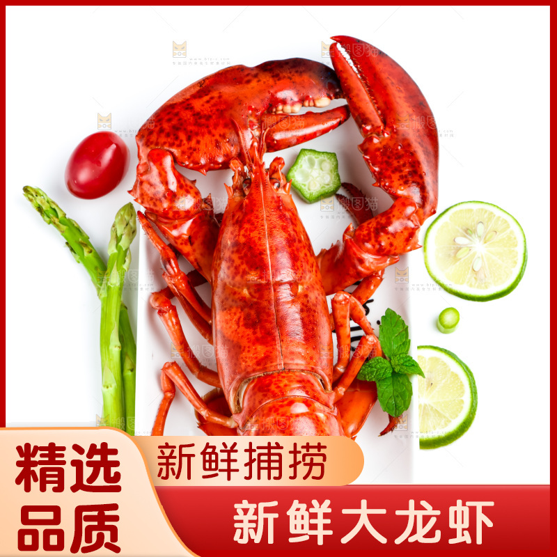 白底上放着一盘大龙虾