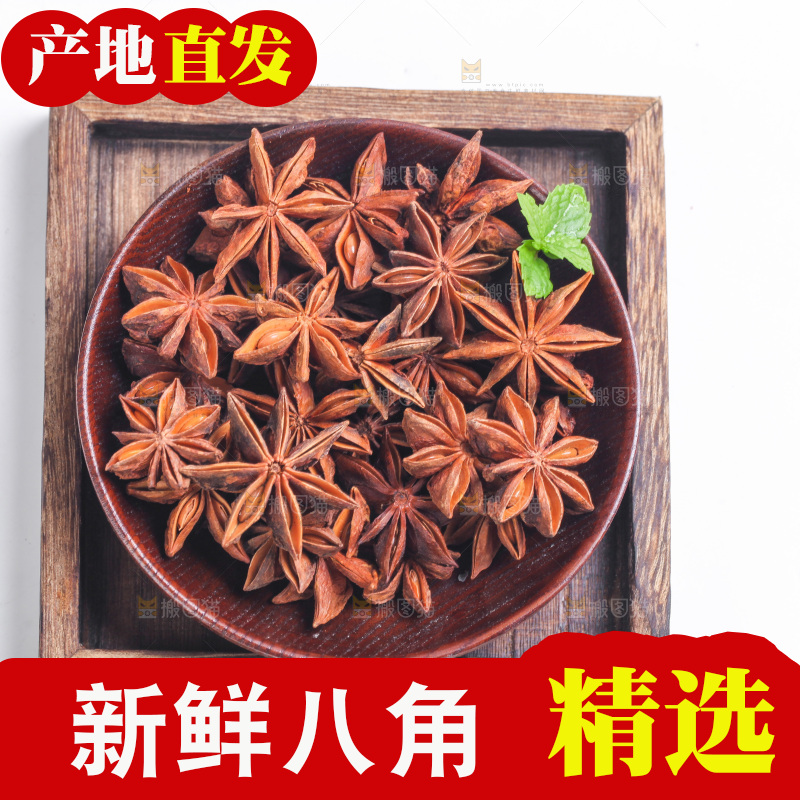 广西八角放在白底上