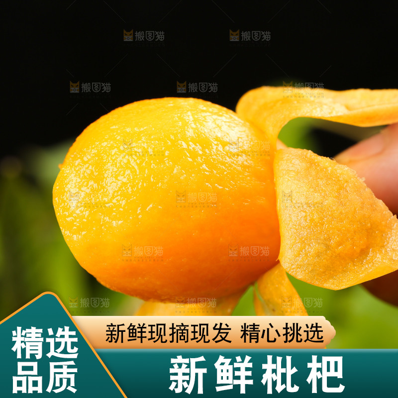 手里拿着新鲜枇杷