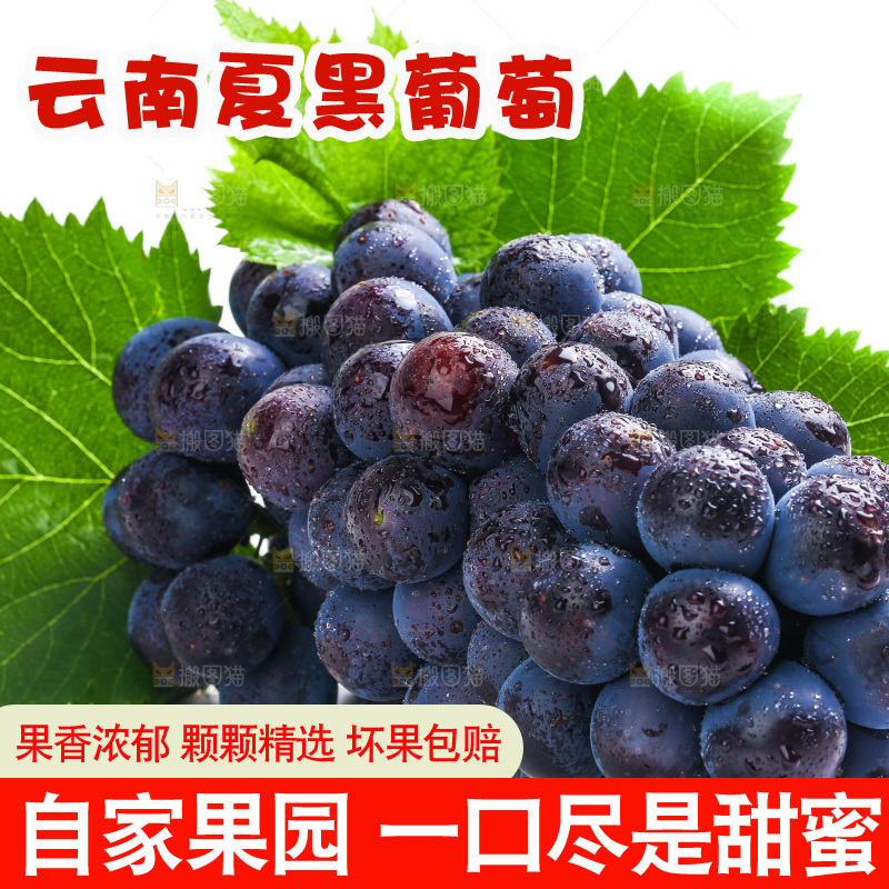 白底上的夏黑