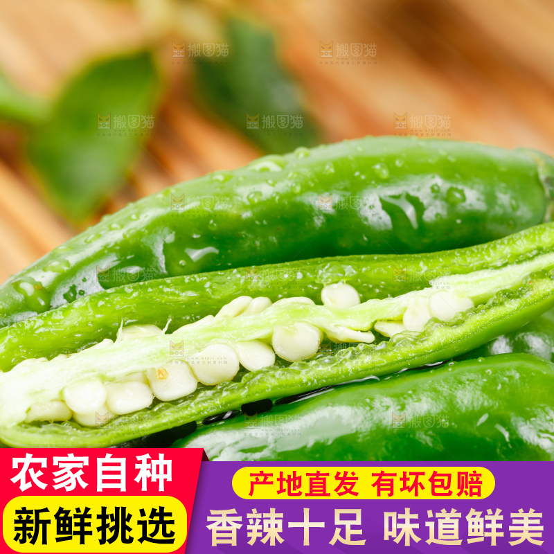 竹底上摆放着青米椒