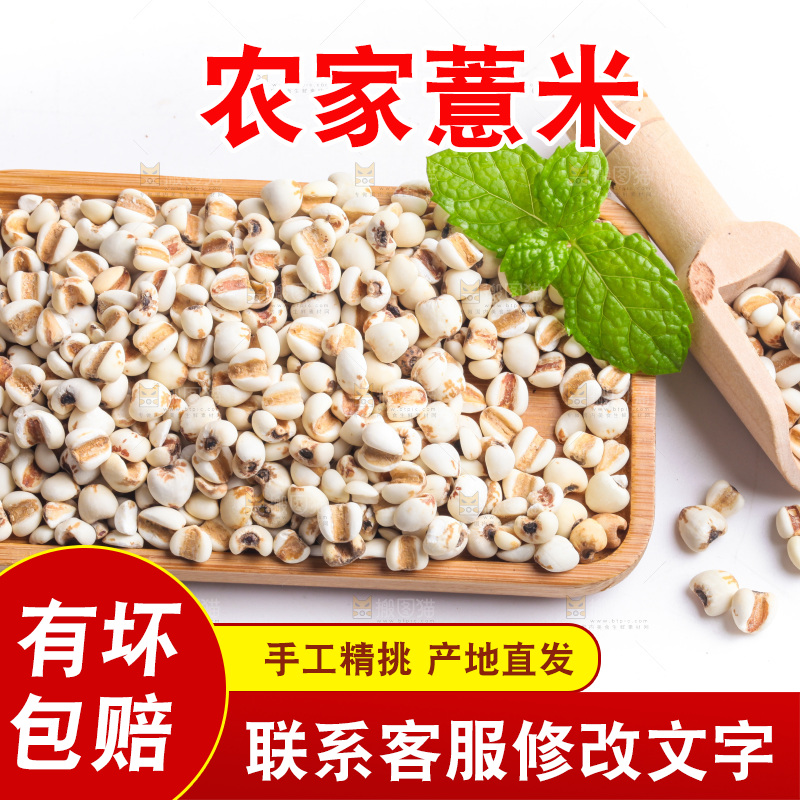 白底上的薏米