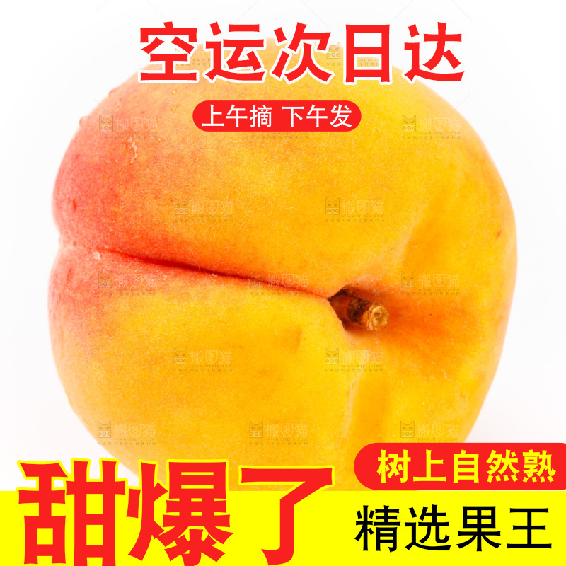 白底上的黄桃