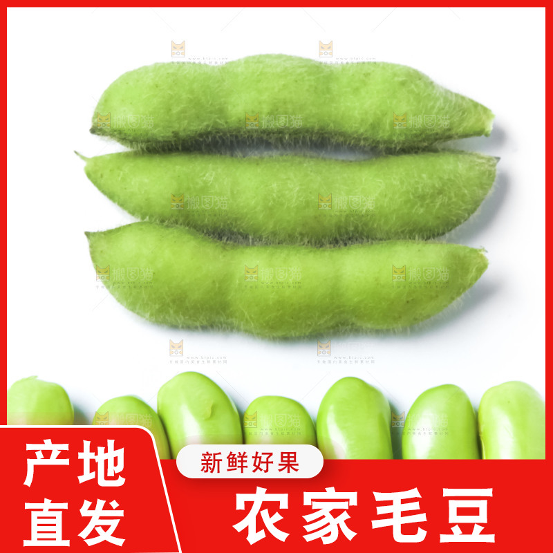 白底上的毛豆