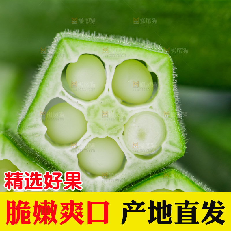 白底上的新鲜秋葵