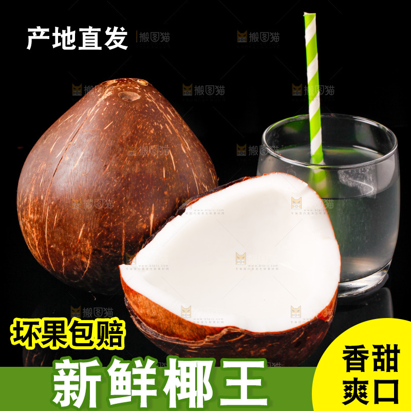 黑底上的椰王