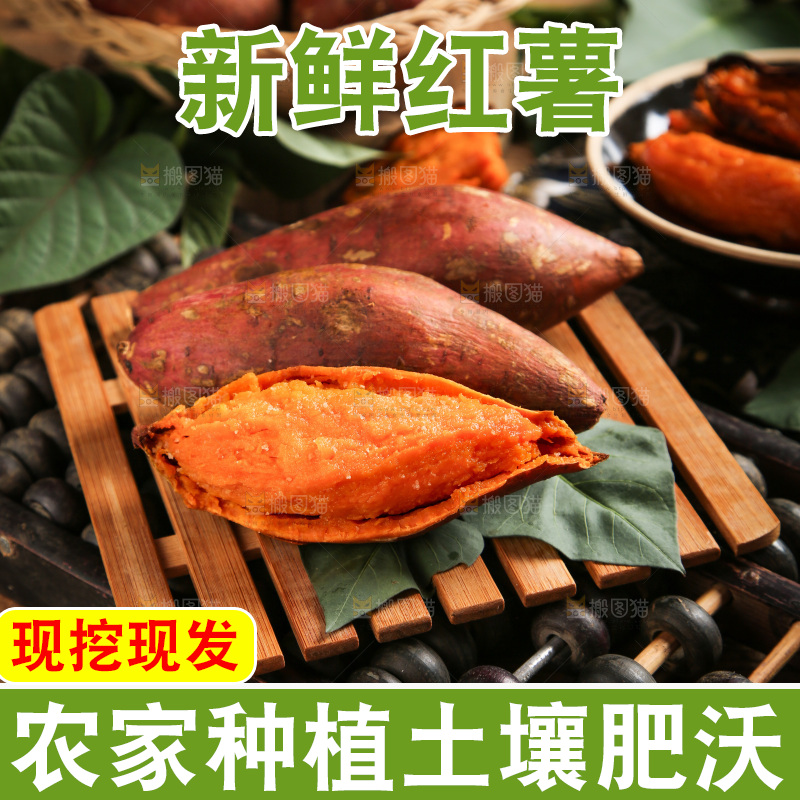 深底上的烟薯