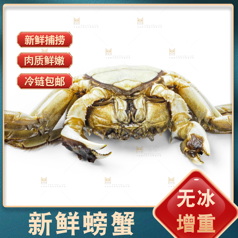 浅底上的鲜活螃蟹
