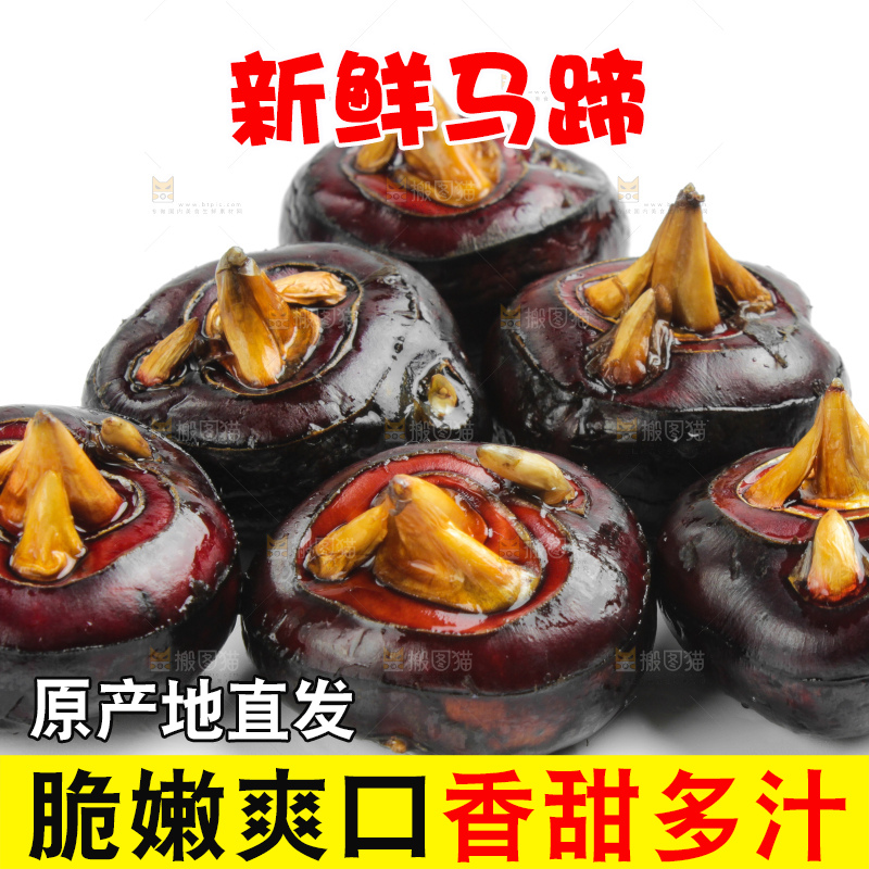 白底上摆放着广西荔浦马蹄