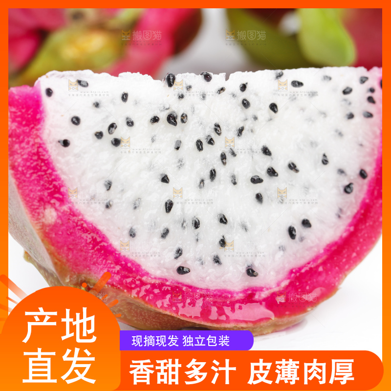 白底上的越南白心火龙果